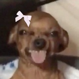 Telegram profile photo for ππππππΌπ½πππ