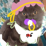 Telegram profile photo for ПУЗИКО confession