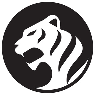 Telegram profile photo for WTS - разработка мобильных приложений для бизнеса и стартапов l IT компания White Tiger Soft