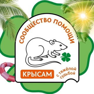 Telegram profile photo for Сообщество помощи крысам с тяжелой судьбой