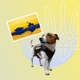 Telegram profile photo for НМТ 2027. Історія України🇺🇦