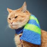 Telegram profile photo for уличные pussies