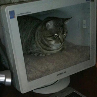 Telegram profile photo for Мысли Экскьюза