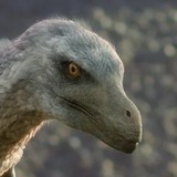 Telegram profile photo for Dinos|NET : ДИНО СЕТКА