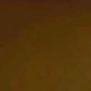 Telegram profile photo for tips