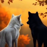 Telegram profile photo for ஜ۩۞۩ஜ ᦓꪻꪖꪗꪖ ஜ۩۞۩ஜ