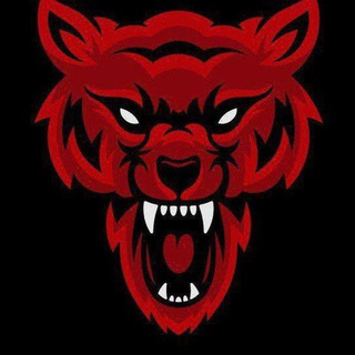 Telegram profile photo for Red roses 🌹