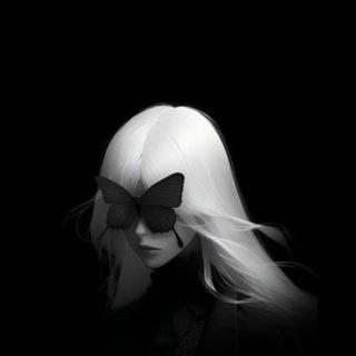 Telegram profile photo for Blog Reflexanov