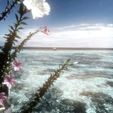 Telegram profile photo for 𝓔𝓿𝓮𝓷𝓽 | 𝐵𝑟𝑜𝑤𝑛 𝑆𝑢𝑔𝑎𝑟 𝐷𝑖𝑎𝑟𝑦 ఌ