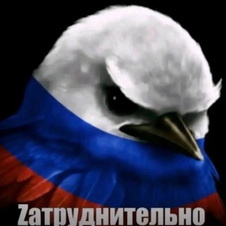 Telegram profile photo for ПростоСаныч