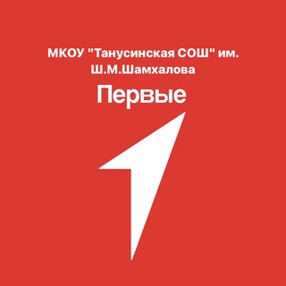 Telegram profile photo for Движение Первых МКОУ "Танусинская СОШ" им. Ш.М.Шамхалова