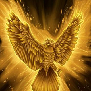 Telegram profile photo for eagle signals