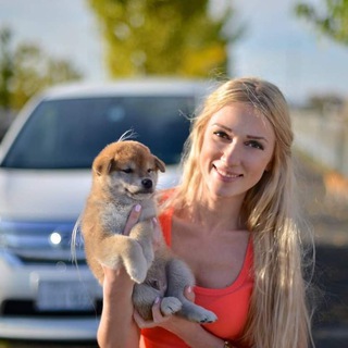 Telegram profile photo for Community of Irina Valko ~ Mother of Shiba Inu $IRINA