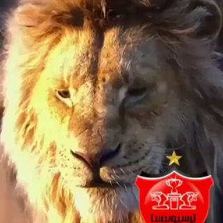 Telegram profile photo for گنجینه سوالات ایمنی محرری