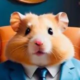 Telegram profile photo for HAMSTER 🐹 | COMBO