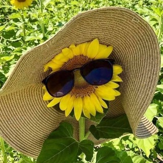 Telegram profile photo for هُنا نجود |