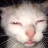 Telegram profile photo for КСИВИКА