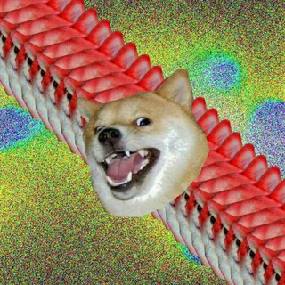 Telegram profile photo for Doguinhos