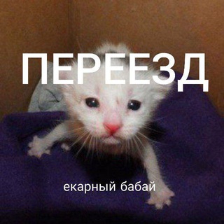 Telegram profile photo for ПЕРЕЕЗД выкрутасов