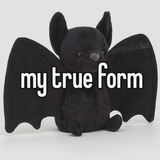Telegram profile photo for cr !