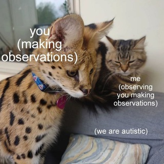 Telegram profile photo for quixoticCoward's memo