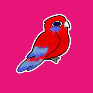 Telegram profile photo for rosellaina79