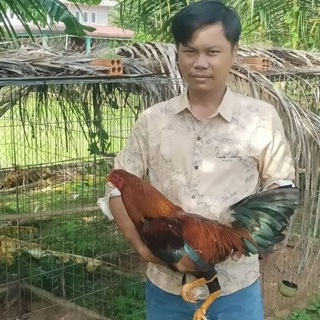 Telegram group profile photo for បងឆាយអាញ៉ាកណ្ដាលV168