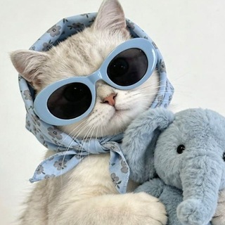 Telegram profile photo for اَرغند