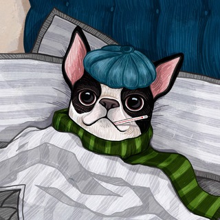 Telegram profile photo for пора на больничный