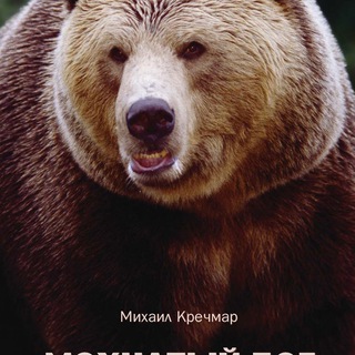 Telegram profile photo for Книги, фильмы и я
