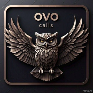 Telegram profile photo for OVO 🦉 CALLS _ SOL/ETH/BSC/TON.