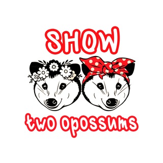 Telegram profile photo for Шоу двух опоссумов