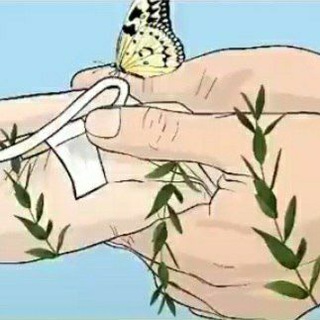Telegram profile photo for معجزه سلامتی گانودرما