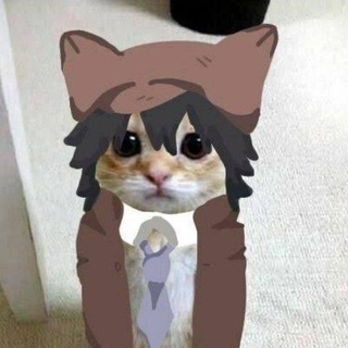 Telegram profile photo for Гоголь китачаночка