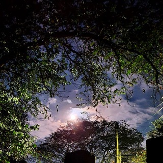 Telegram profile photo for Espiritualidade, Sete Raios e a Grande Fraternidade Branca