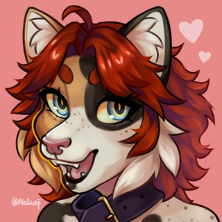 Telegram profile photo for Nakoji's corner 🫶