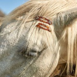 Telegram profile photo for تَوْقٌ