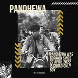 Telegram profile photo for PANDHEWA LOKKED