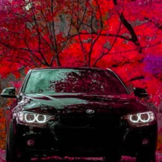 Telegram profile photo for TIM/AVTO/ MSK---DNR