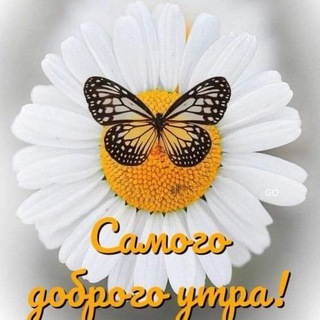 Telegram profile photo for МЕДЕЯ магазин одежды