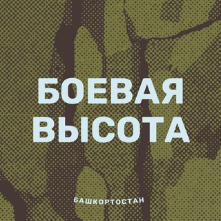 Telegram profile photo for БОЕВАЯ ВЫСОТА