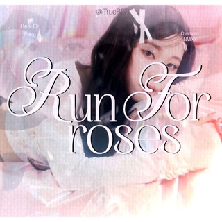 Telegram profile photo for Run For Roses