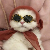 Telegram profile photo for محافظکیوتلند💕