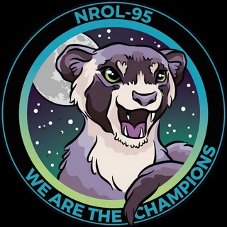 Telegram profile photo for The SpaceX Ferret
