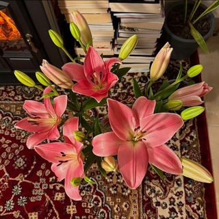 Telegram profile photo for أطْمَئِنْ