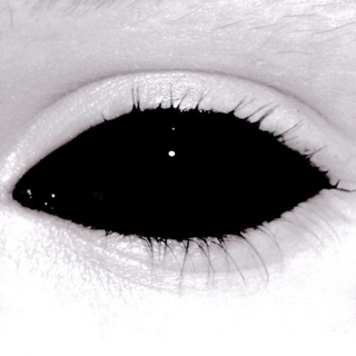 Telegram profile photo for Vortex.