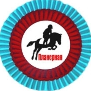 Telegram profile photo for МАУ ДО "СШ "Планерная"