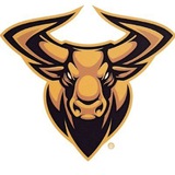 Telegram profile photo for GaurToken Finance