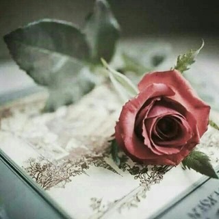Telegram profile photo for 🌹🕊↜شــ❁ــذى الـعَـبَـرات↝🌹🕊