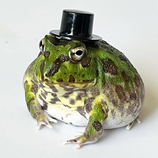 Telegram profile photo for Sprout - The tiktok frog with hat - PORTAL